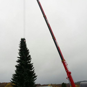 Heben und Transport des Weihnachtsbaumes für das Phantasialand Brühl