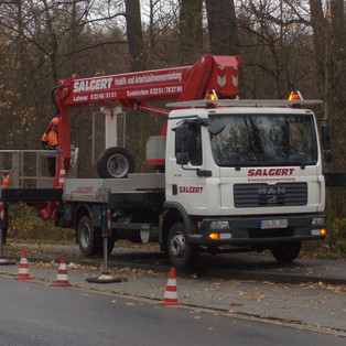 30 m WUMAG WT 300 bei Baumschnittarbeiten