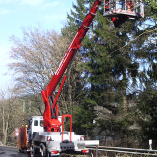 Gehölzschnitt mit der Ruthmann T 300