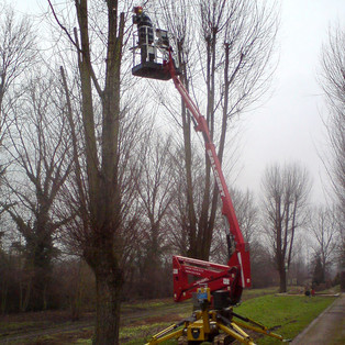 Gehölzschnit mit der selbstfahrenden Tele-Gelenk-Arbeitsbühne auf Raupenfahrwerk CTE TRACCESS 170