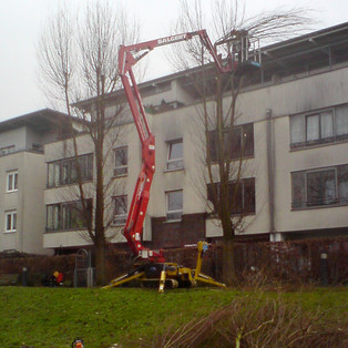 Gehölzschnit mit der selbstfahrenden Tele-Gelenk-Arbeitsbühne auf Raupenfahrwerk CTE TRACCESS 170